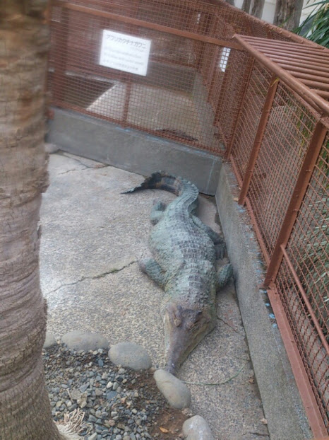 f:id:milkmooncake:20160402123747p:plain