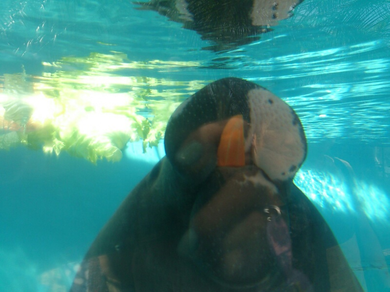 f:id:milkmooncake:20160402192604p:plain