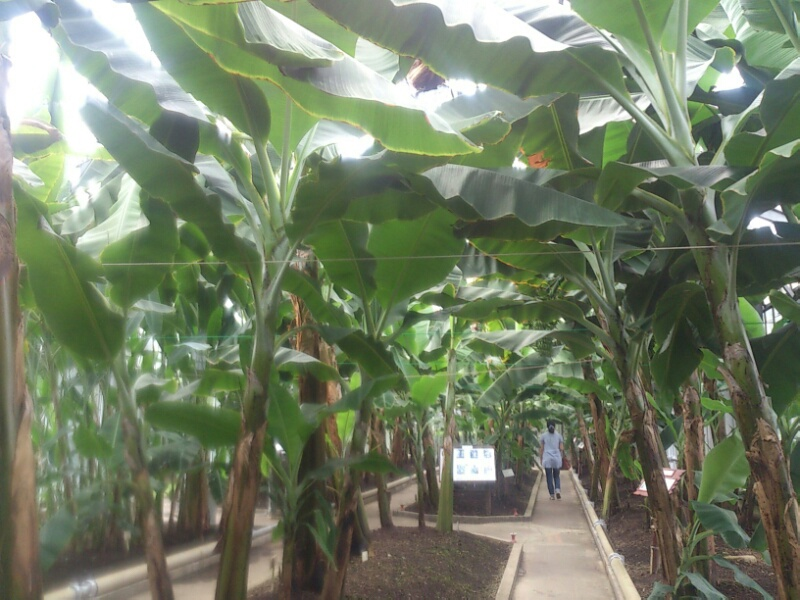 f:id:milkmooncake:20160402193309p:plain