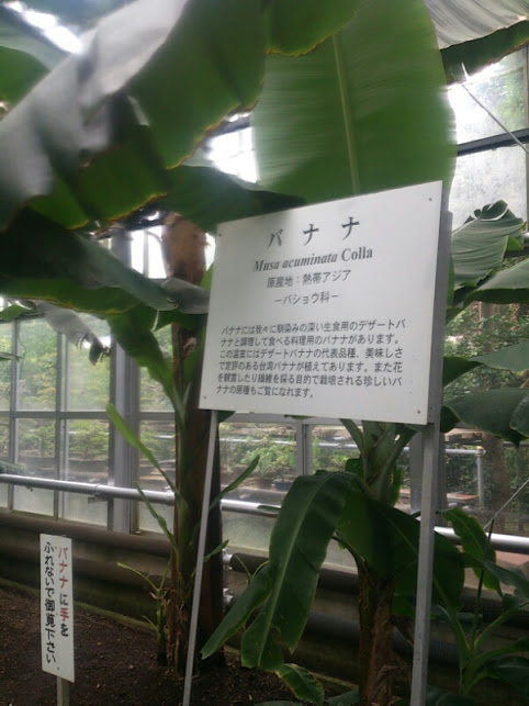 f:id:milkmooncake:20160402193426p:plain