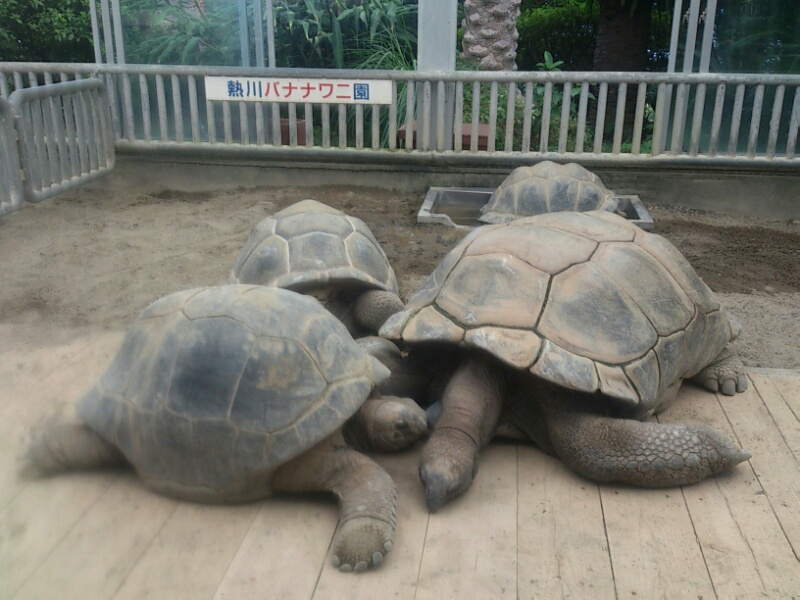 f:id:milkmooncake:20160402193513p:plain