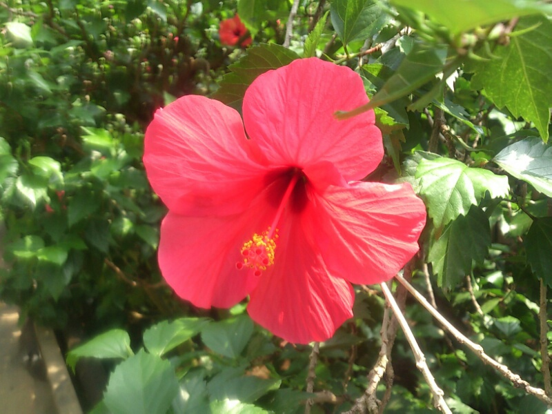 f:id:milkmooncake:20160402194331p:plain