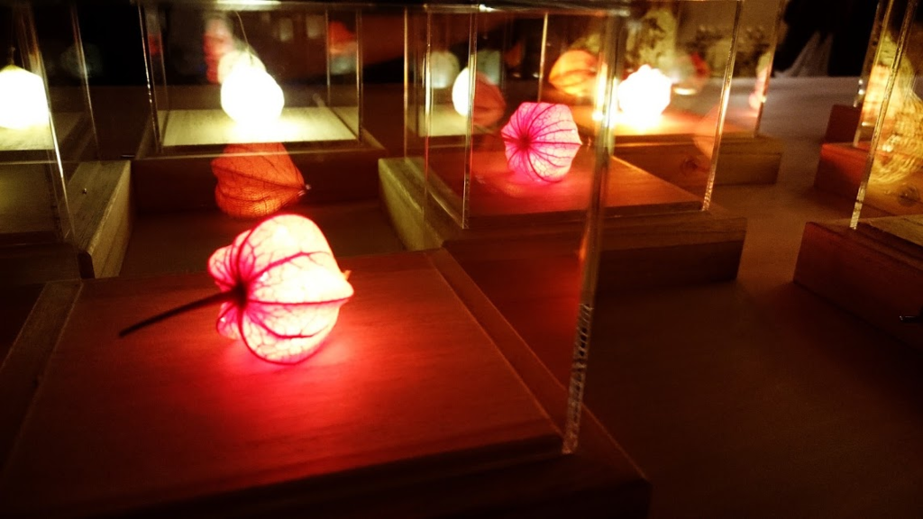 f:id:milkmooncake:20160605001138p:plain