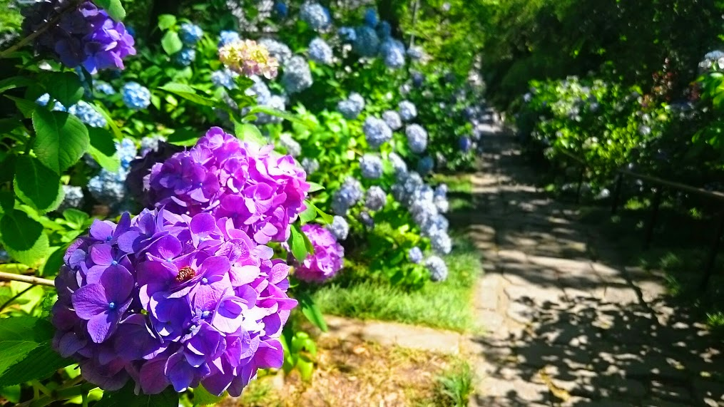 f:id:milkmooncake:20160716170449p:plain