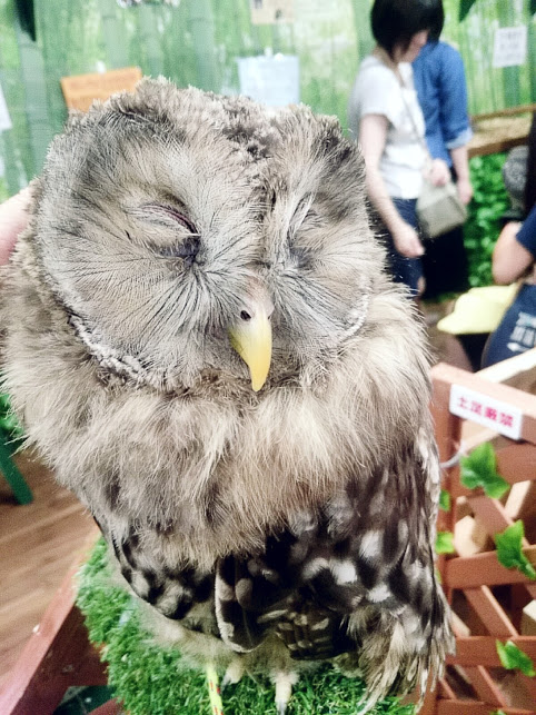 f:id:milkmooncake:20160730114428p:plain f:id:milkmooncake:20160730114428p:plain