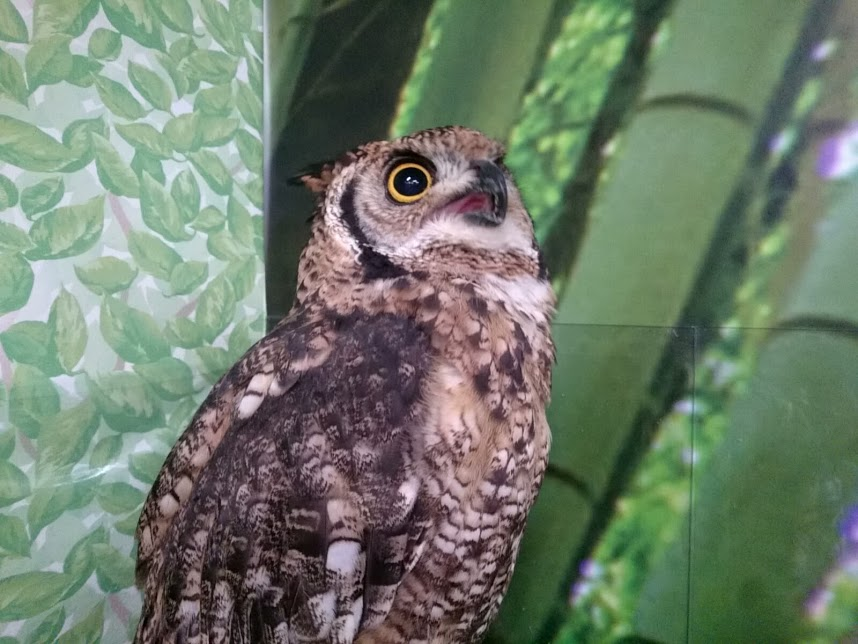 f:id:milkmooncake:20160730114536p:plain f:id:milkmooncake:20160730114536p:plain