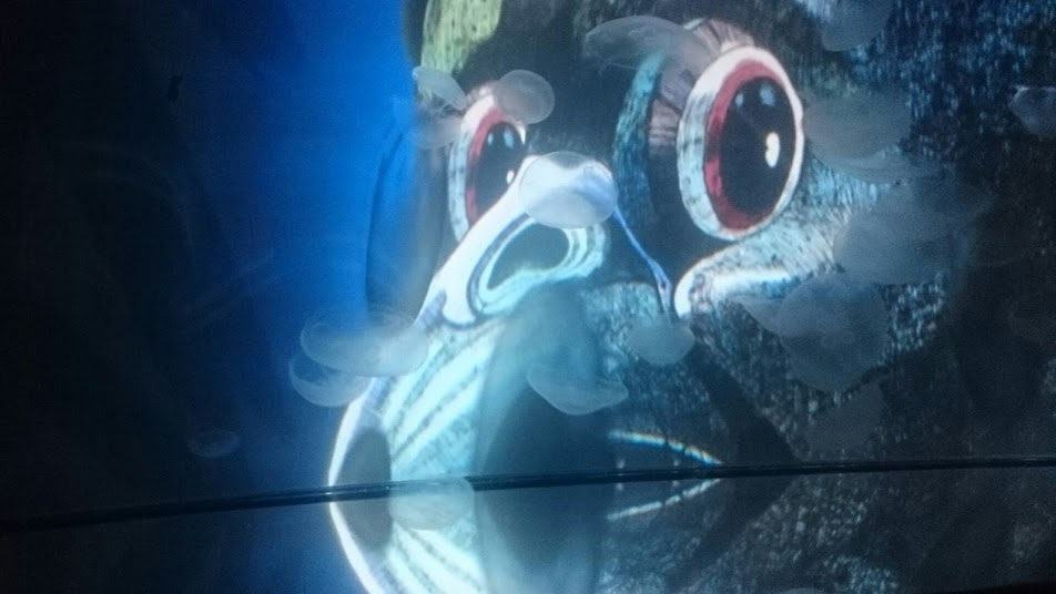 f:id:milkmooncake:20170827202437p:plain f:id:milkmooncake:20170827202437p:plain