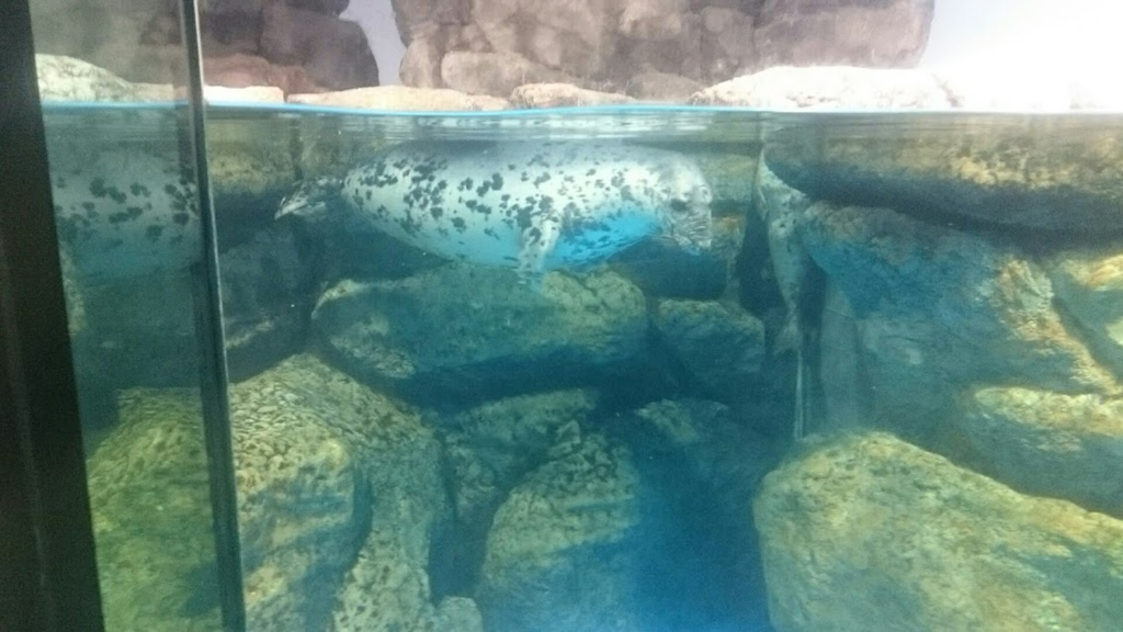 f:id:milkmooncake:20170902201657p:plain f:id:milkmooncake:20170902201657p:plain