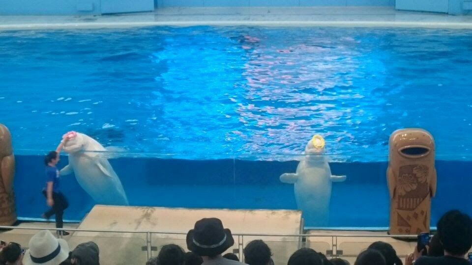 f:id:milkmooncake:20170902201927p:plain f:id:milkmooncake:20170902201927p:plain