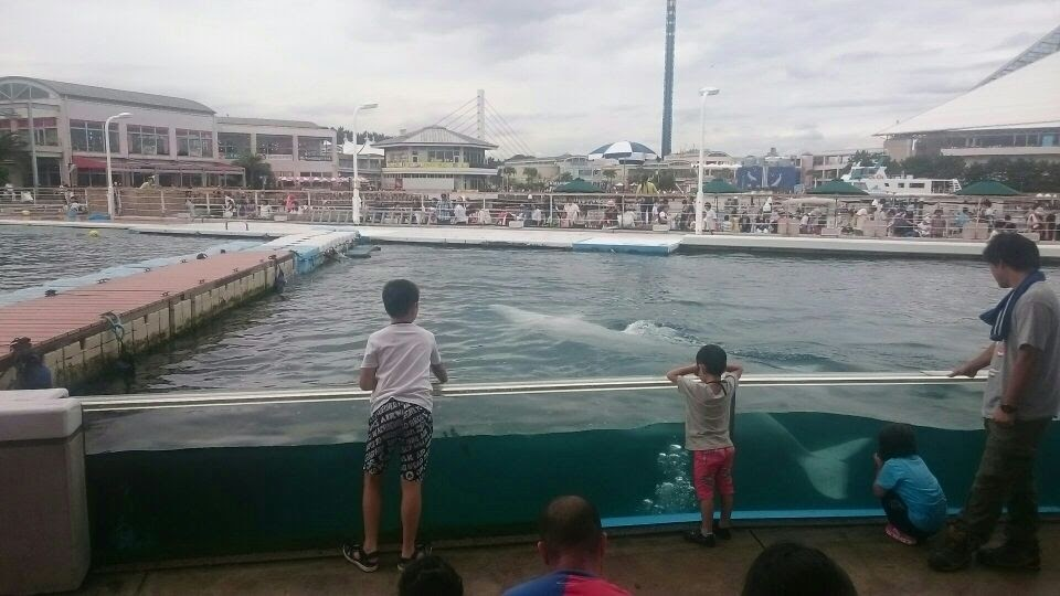 f:id:milkmooncake:20170902202149p:plain f:id:milkmooncake:20170902202149p:plain