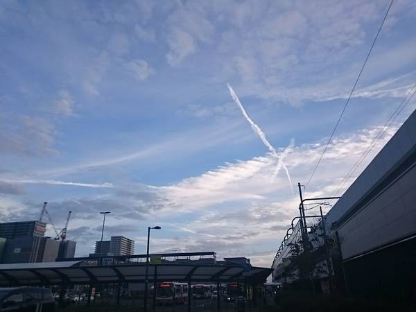 f:id:milkmooncake:20180919222340j:plain f:id:milkmooncake:20180919222340j:plain