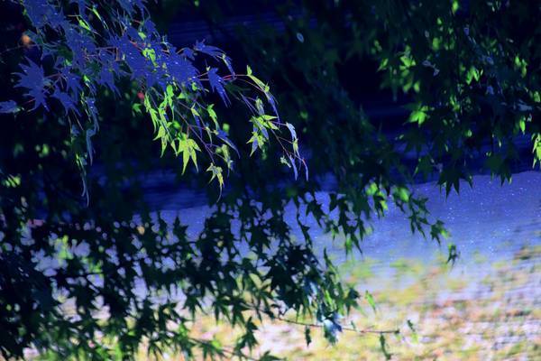 f:id:milkmooncake:20181118175456j:plain