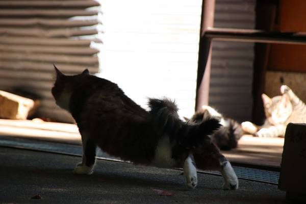 f:id:milkmooncake:20181118175503j:plain