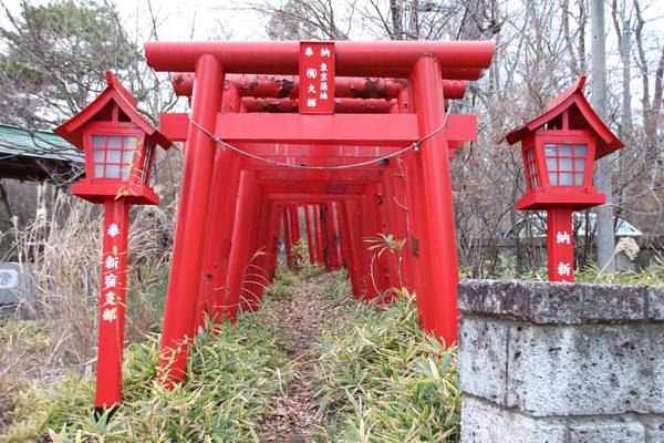 f:id:milkmooncake:20181230193132j:plain