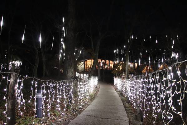 f:id:milkmooncake:20181230193134j:plain