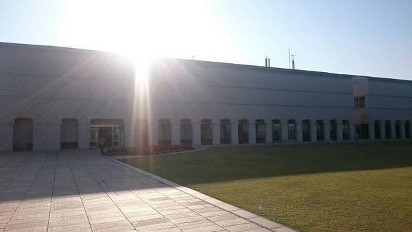 f:id:milkmooncake:20190106215348j:plain