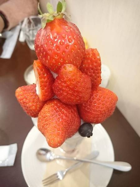 f:id:milkmooncake:20190307174659j:plain