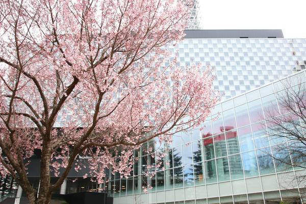 f:id:milkmooncake:20190331201559j:plain