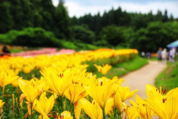 f:id:milkmooncake:20190714172911j:plain f:id:milkmooncake:20190714172911j:plain