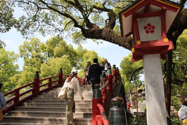 f:id:milkmooncake:20190909232014j:plain