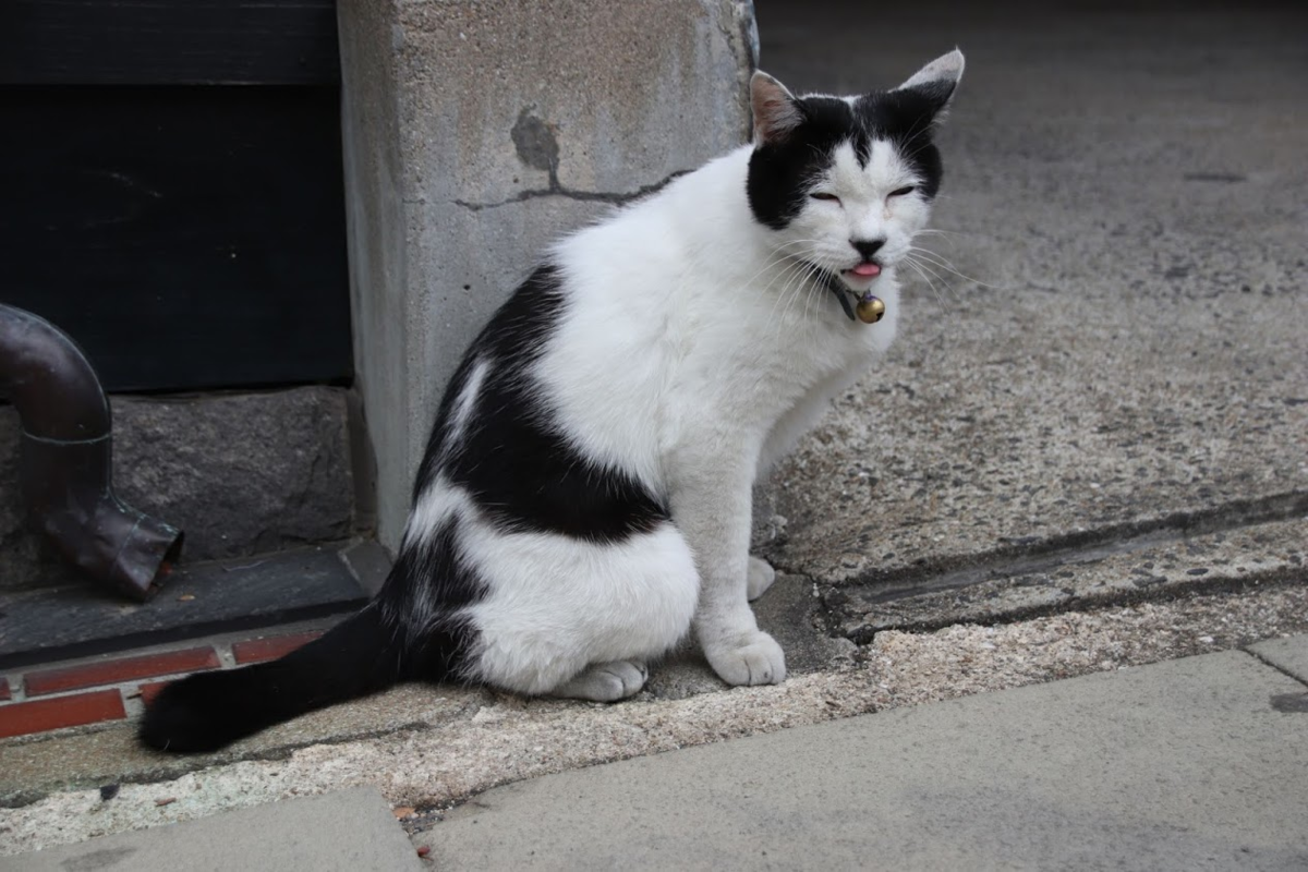 f:id:milkmooncake:20190910000253p:plain