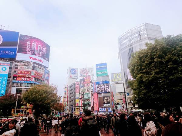 f:id:milkmooncake:20191202222522j:plain