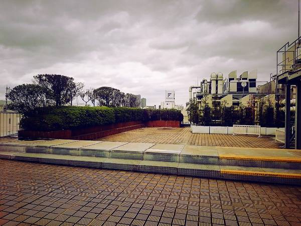 f:id:milkmooncake:20191208220655j:plain