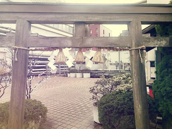 f:id:milkmooncake:20191208220725j:plain