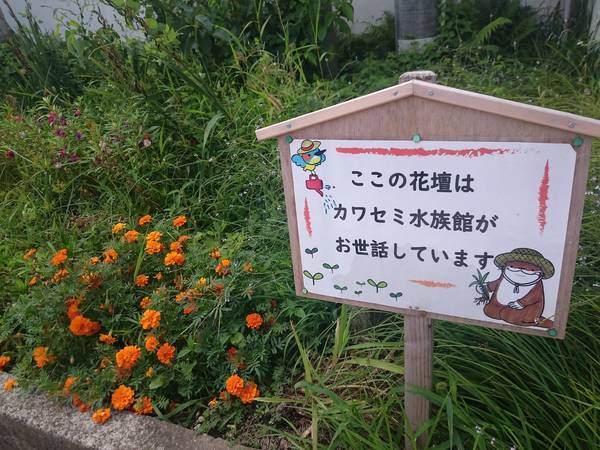 f:id:milkmooncake:20191221212310j:plain