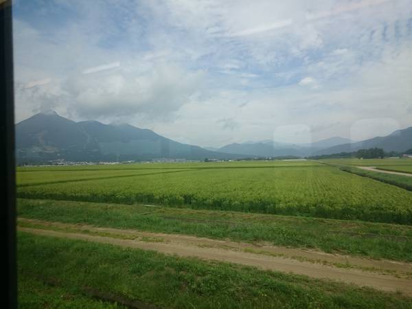 f:id:milkmooncake:20191221212349j:plain