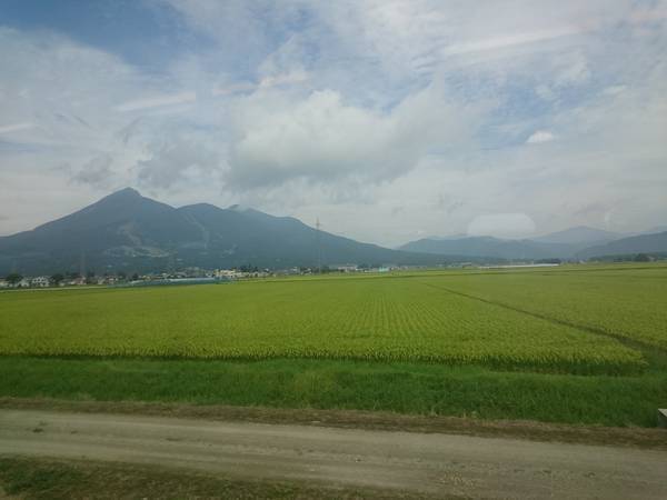 f:id:milkmooncake:20191221212403j:plain