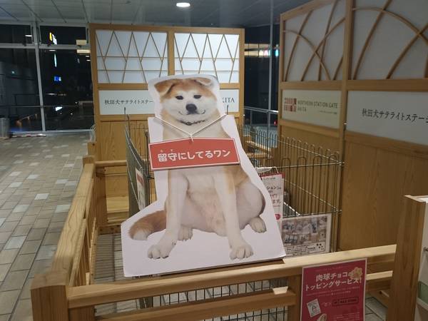 f:id:milkmooncake:20200118204933j:plain