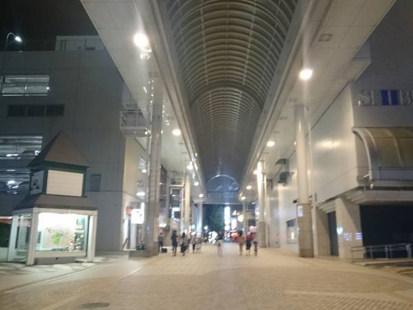 f:id:milkmooncake:20200118204948j:plain