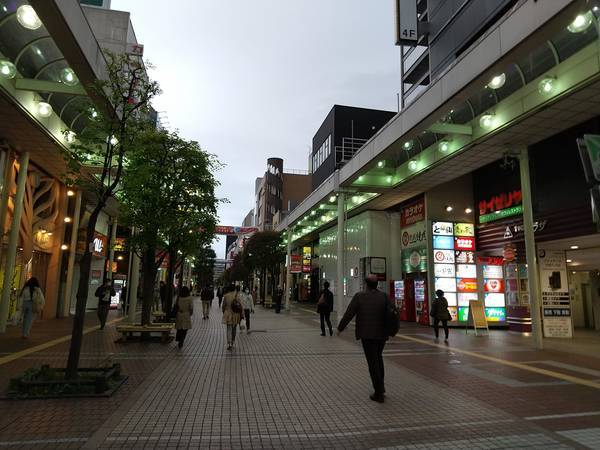 f:id:milkmooncake:20200429221607j:plain