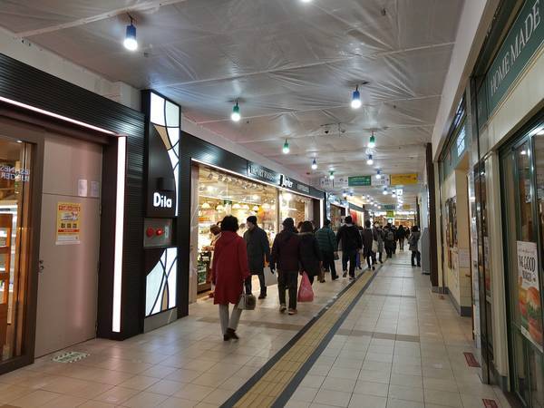 f:id:milkmooncake:20210104173917j:plain