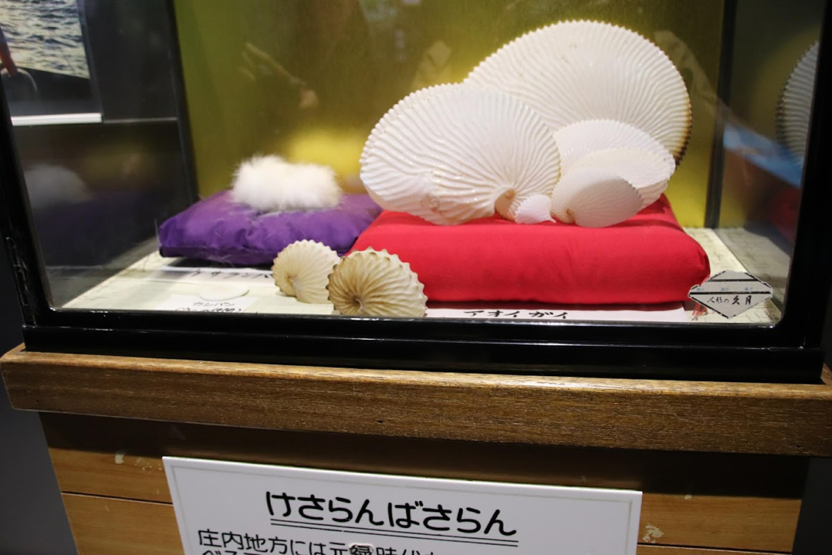 f:id:milkmooncake:20210816221322p:plain