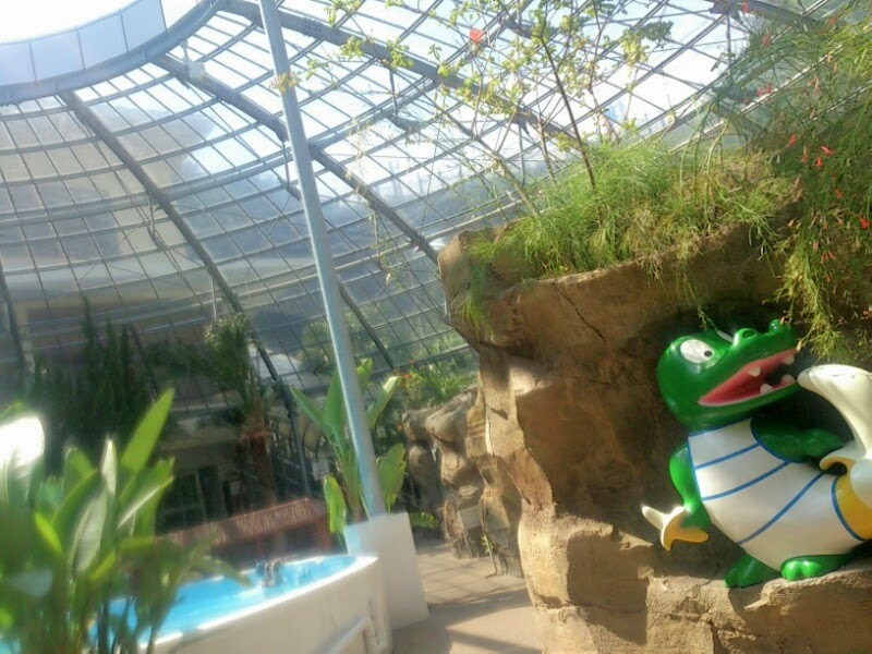 f:id:milkmooncake:20210816224437p:plain