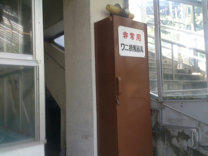 f:id:milkmooncake:20210816224533p:plain