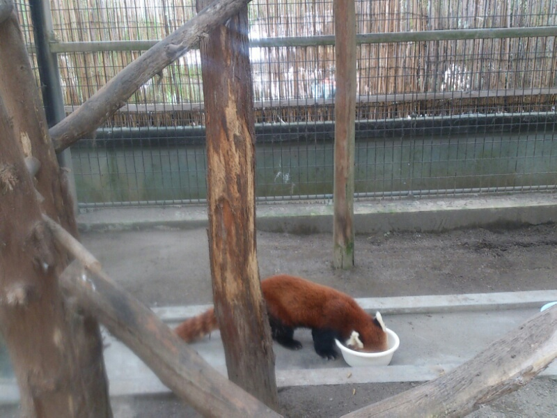 f:id:milkmooncake:20210816224616p:plain
