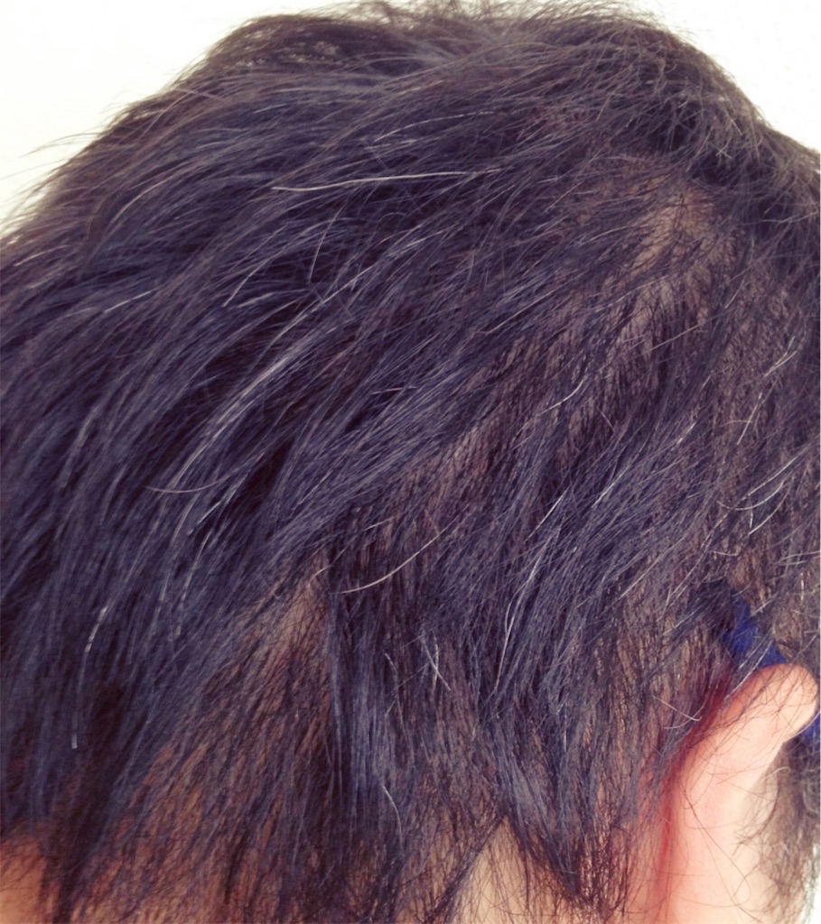 f:id:milksweet:20161109005341j:image f:id:milksweet:20161109005341j:image
