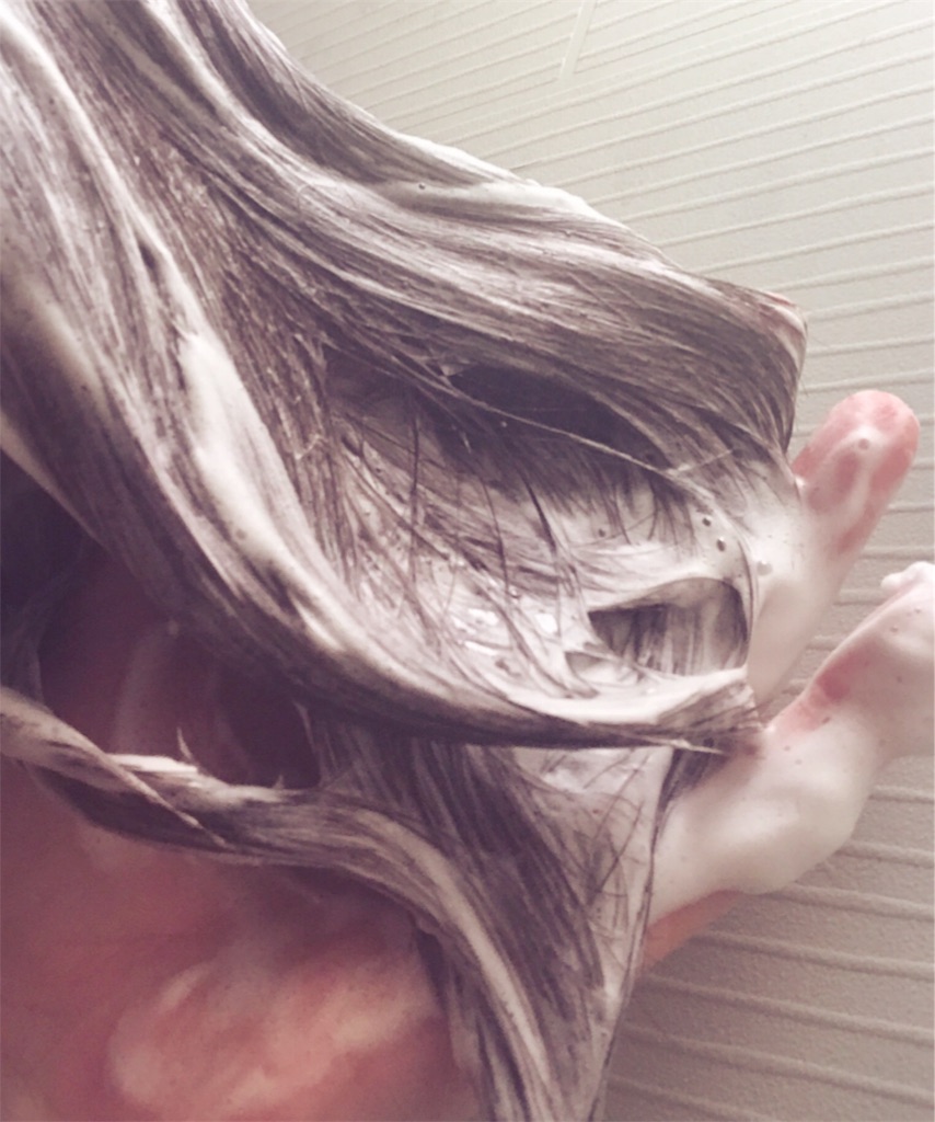 f:id:milksweet:20161201164619j:image f:id:milksweet:20161201164619j:image