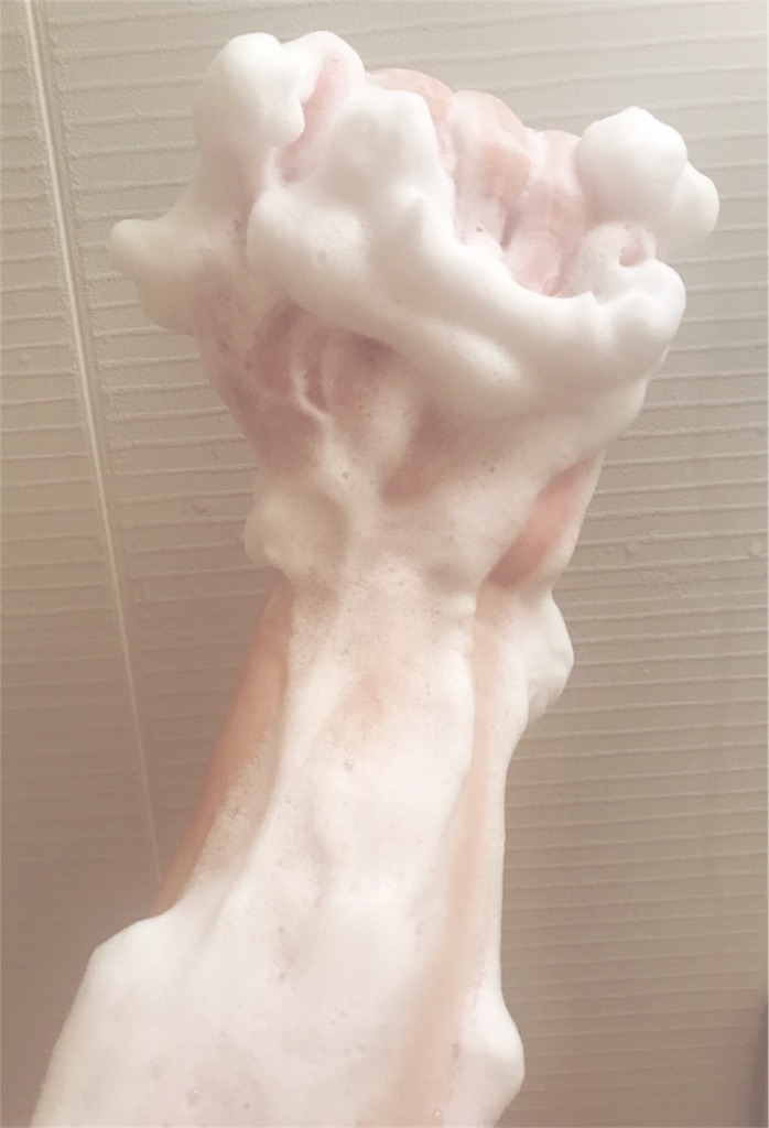 f:id:milksweet:20170115101648j:image f:id:milksweet:20170115101648j:image