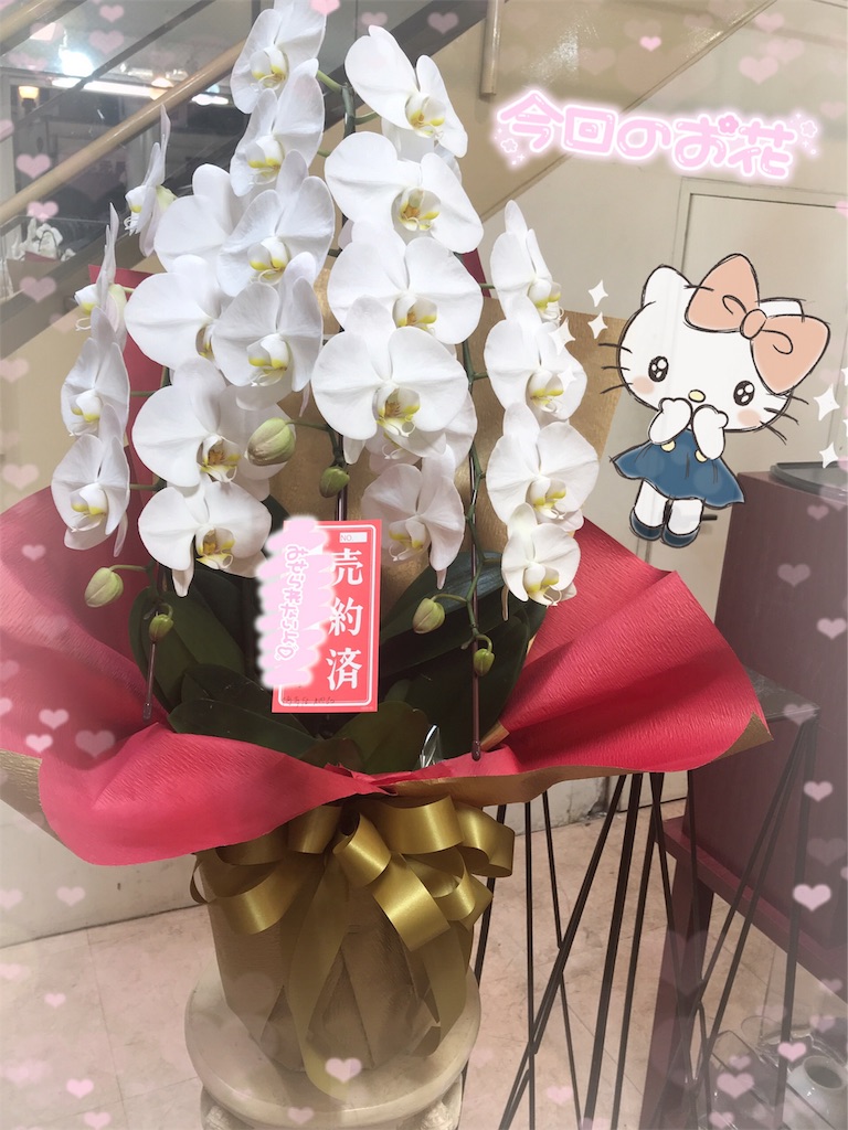 f:id:milky2525:20191102060245j:image f:id:milky2525:20191102060245j:image