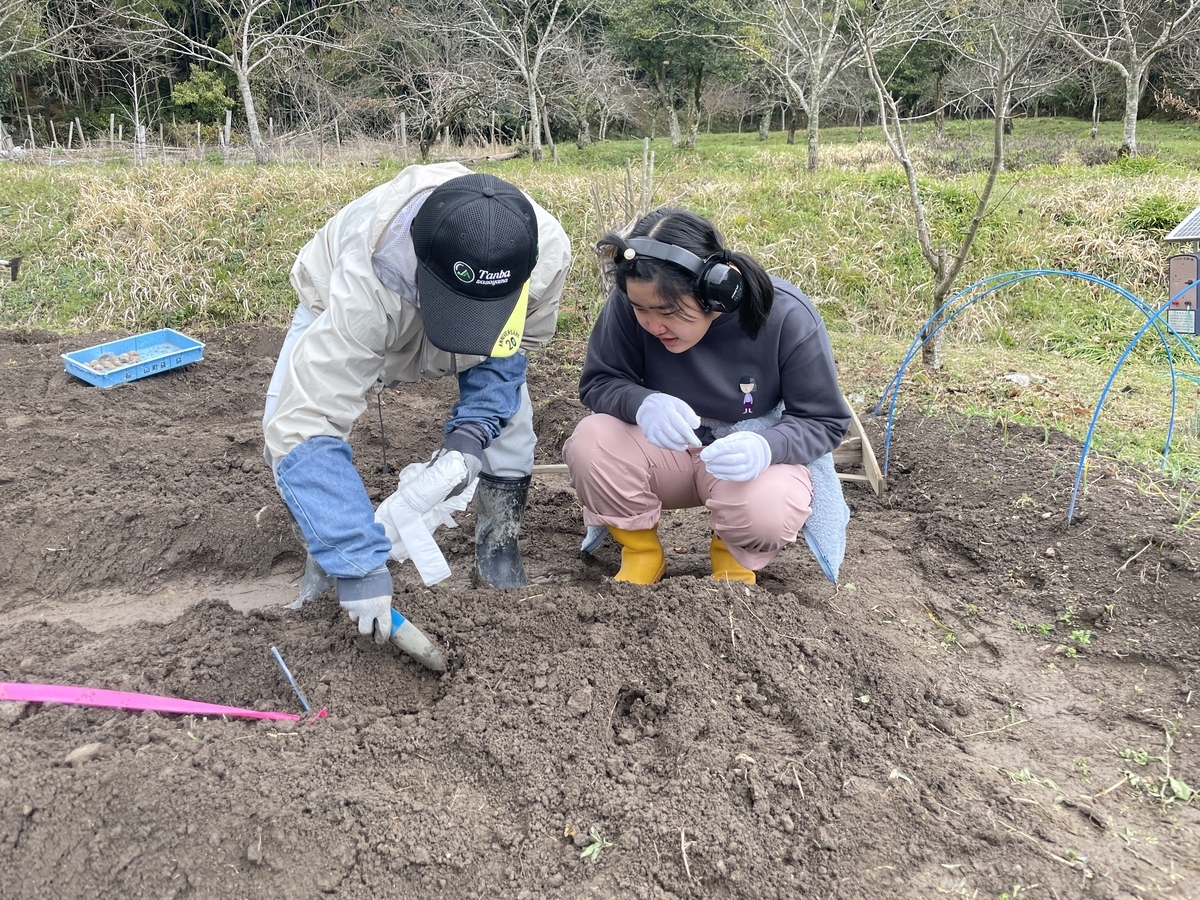 じゃがいもの種まき体験🥔「自然を楽しみながら学ぶ食」