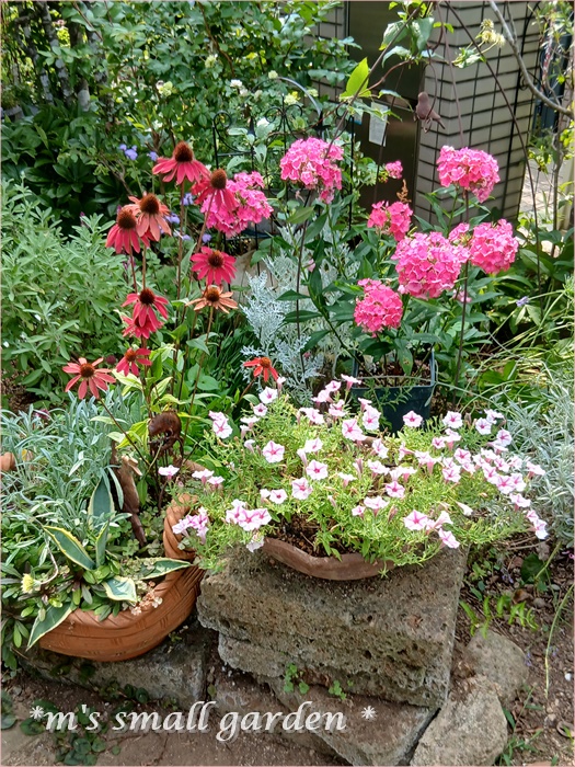 夏の寄せ植え＊夏の庭 - *m's small garden*