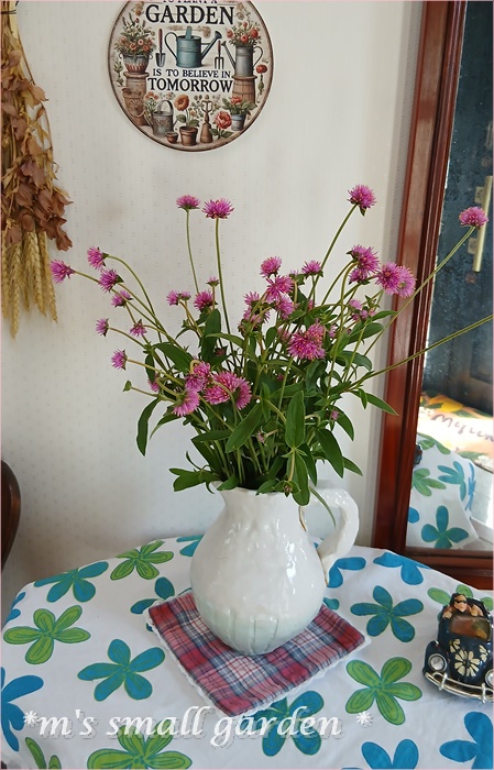 届きました！バラの苗 - *m's small garden*