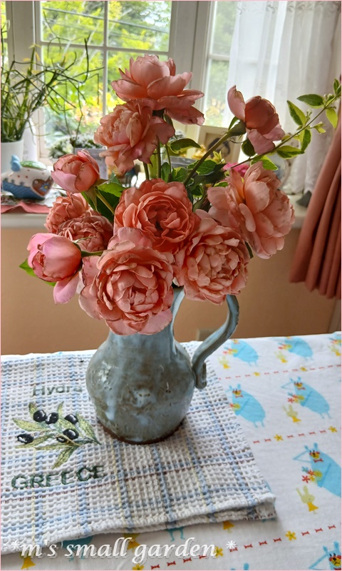 かわいい～♡カップ咲きビンカ「みき」 - *m's small garden*