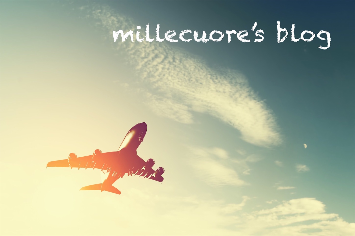 f:id:millecuore:20190519092826j:image f:id:millecuore:20190519092826j:image