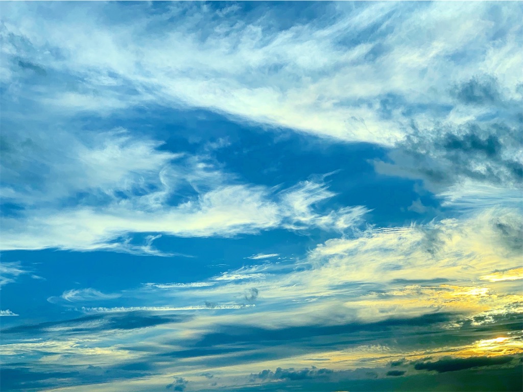 f:id:millefield:20190724204725j:image f:id:millefield:20190724204725j:image