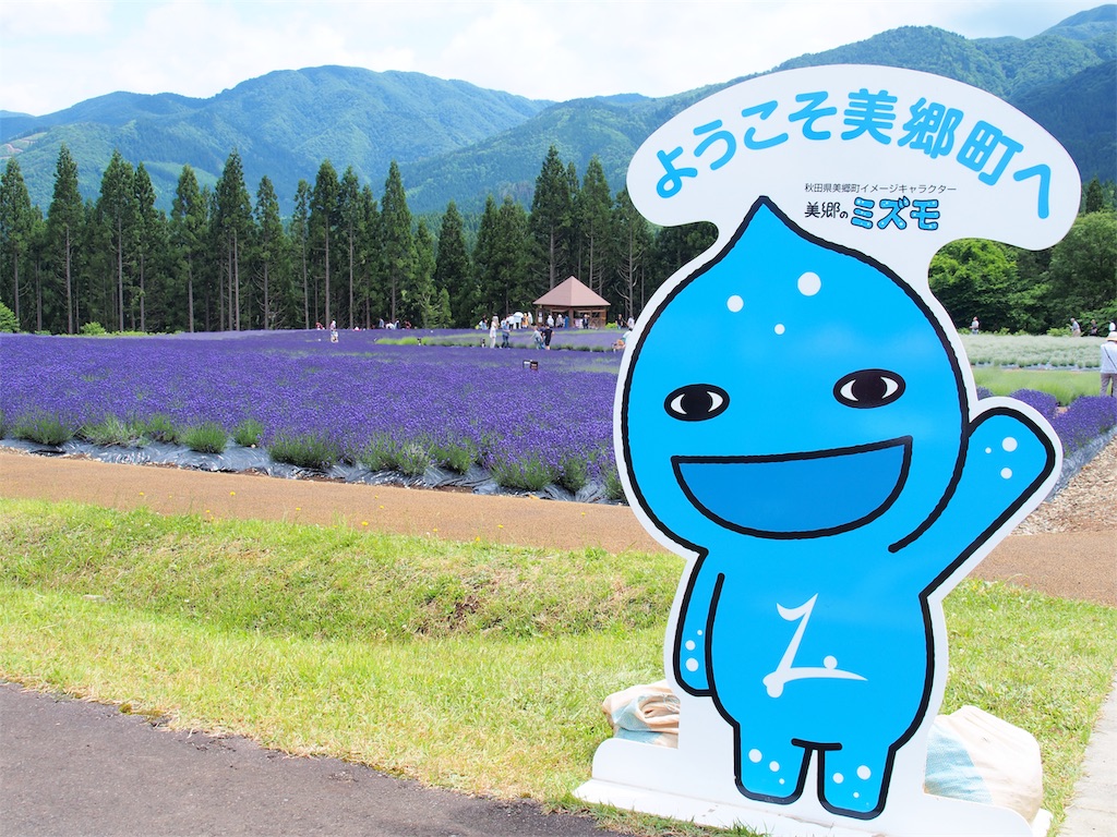 6月23日 美郷町ラベンダー園 その１ みりの足跡